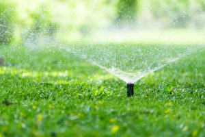 What You Should Know Prior to Sprinkler System Installation