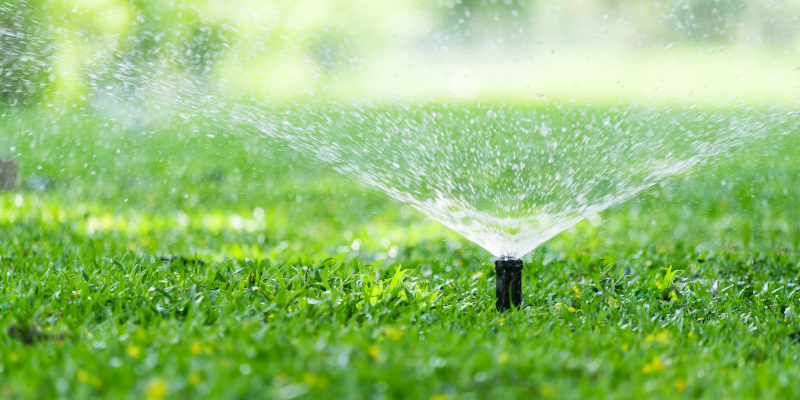 What You Should Know Prior to Sprinkler System Installation