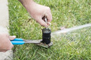 Four Telltale Signs You Need Irrigation Repair