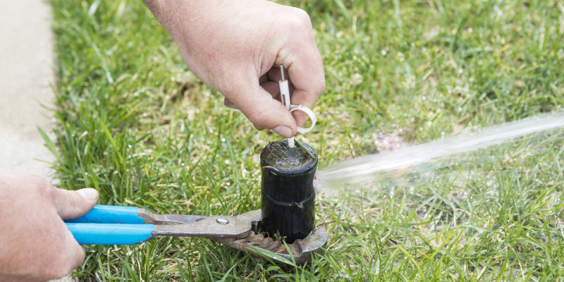 Four Telltale Signs You Need Irrigation Repair