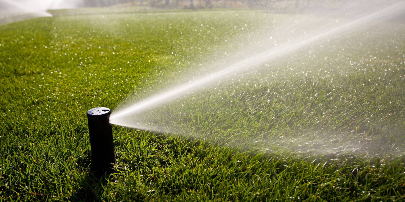 Schedule your spring irrigation appointment
