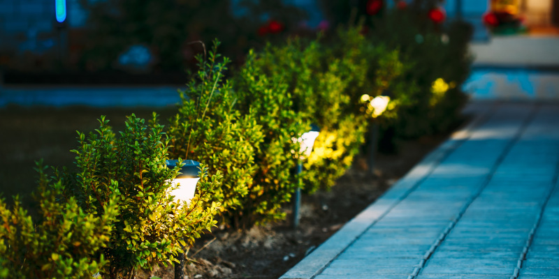 Solar Path Lights in Athens, Georgia