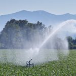 Commercial Irrigation Repair