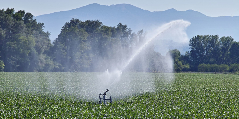 Sprinkler Blowout in Monroe, Georgia