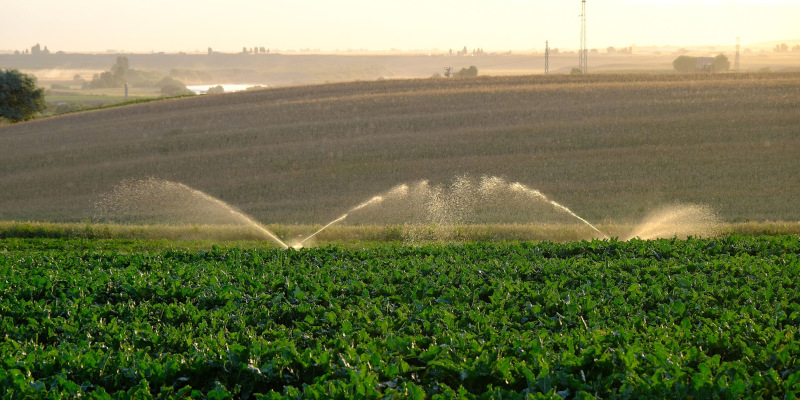 Commercial Irrigation Systems in Greensboro, Georgia