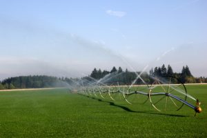 The Essentials of Commercial Irrigation Installation
