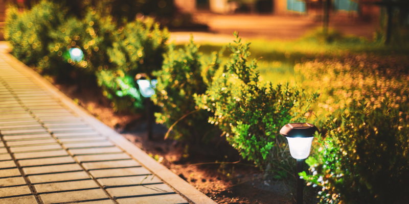Light Up Your Path with Solar Path Lights