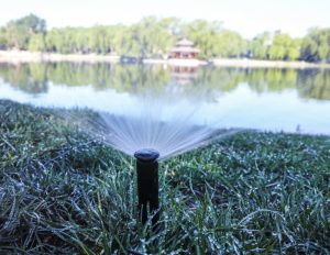 Sprinkler Winterization: Protecting Your System from Frost