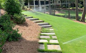 3 Reasons to Choose Us for Your Irrigation Design Needs
