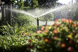 What Are the Benefits of Commercial Irrigation?